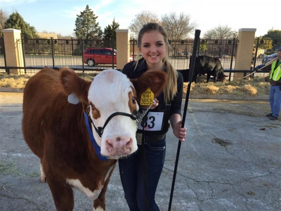 Kelly Kowis, senior and FFA president, and her polled Hereford heifer won 1st place in the heifer show.