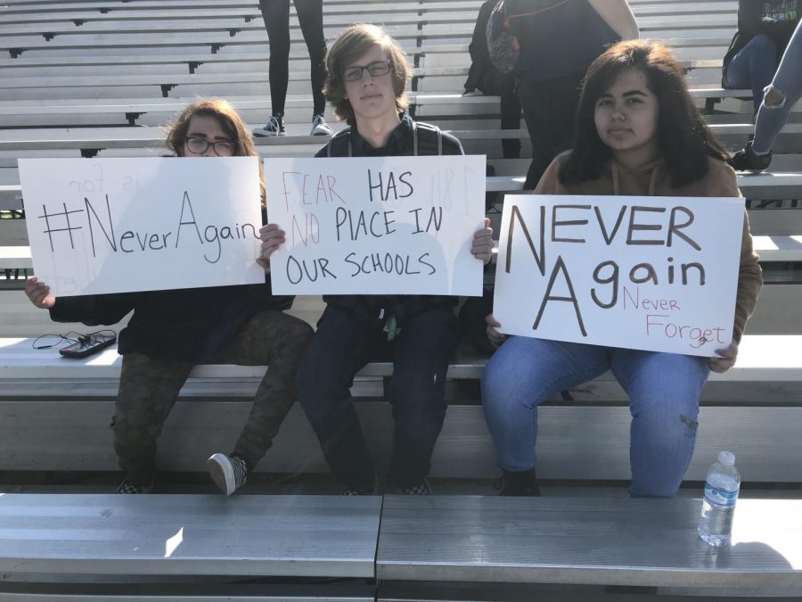 Students participated in a national walkout Friday, April 20 to protest gun violence in schools.