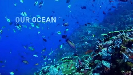 New club plans many projects to raise awareness of, preserve oceans