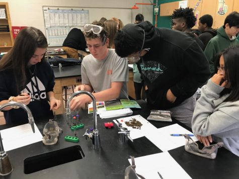 Students in Stephanie Reynolds AP Environmental Science class participate in a dirt lab.